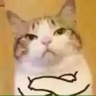 顽皮表情包表情包