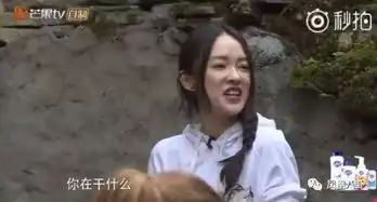  杨幂看张艺兴下跪表情亮了,明星吃瓜比撕x更有趣