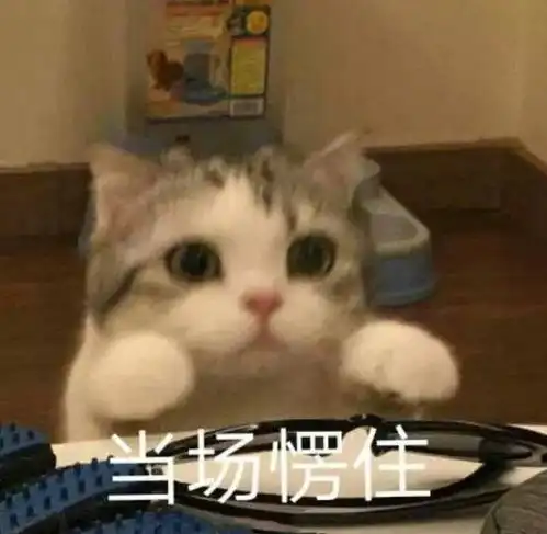 你傻没事我瞎表情包网恋