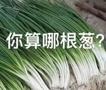  抖音你算哪根葱你算哪个橙子表情包