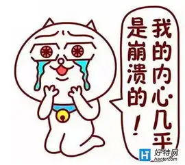  藏表情包的注意了多名中国人遭加拿大海关遣返好特教程