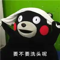  熊本熊带字表情包之单身女生来自世界的恶意