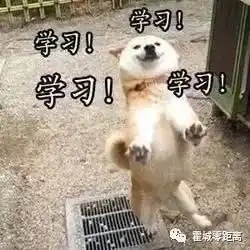 疫情防控表情包柴犬