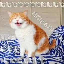  皮皮虾快跑啊,越狱啦每日轻松一刻6月5日午间版