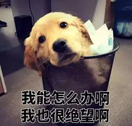  中国式父母更想要愉快独立的生活,做子女的你尽力了吗