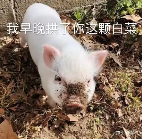  你看过有什么好看的小故事让人心情愉悦又温暖人心富有哲理