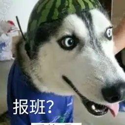  考试倒计时9天最后一期教师冲刺班25号开课了