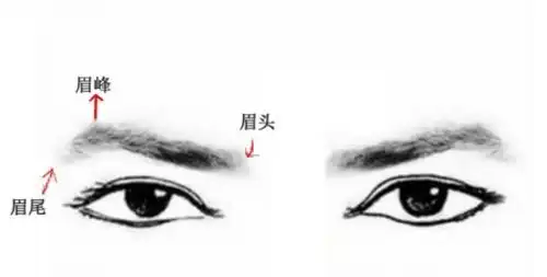  听说今年流行这样画眉毛不存在的