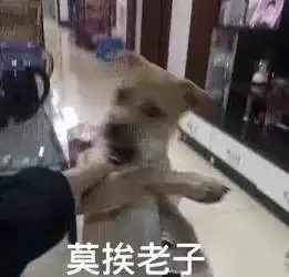  金鹰淼后之后,迪丽热巴靠大ip也无法口碑翻身