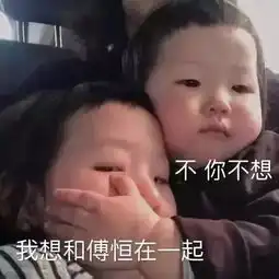  延禧攻略的段子和表情包,你值得收藏