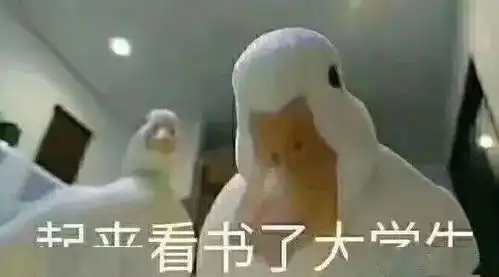  学在珠海校区如何正确开启大学生活,一起来get学习秘籍吧