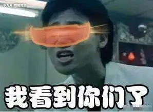 槽槽驾到逃犯克星张学友演唱会又抓逃犯