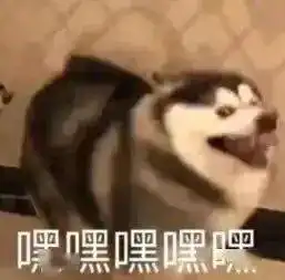  学完合成以后,我能找到女朋友吗