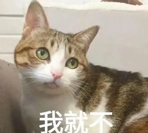  表情包大全值得收藏的表情包