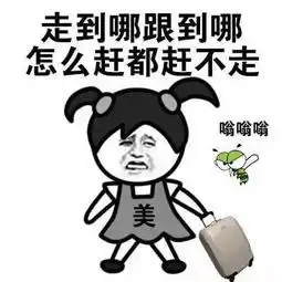  一只蚊子引发的惨案广东司机开车打蚊打出人命
