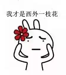 走过路过,西外专属表情包,怎能错过