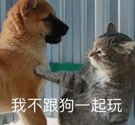  被动物欺负的经历,一瞬间形象都没了