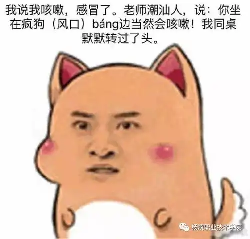 损色儿表情包msf