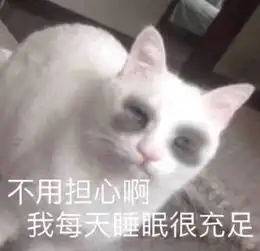  您的睡眠不足修仙表情包到账了,请注意查收网友过于真实