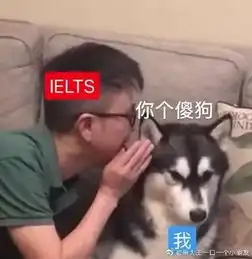  2020年雅思报名费将涨价烤鸭钱可以涨,难度我不允许
