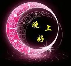 你好的表情包晚上好