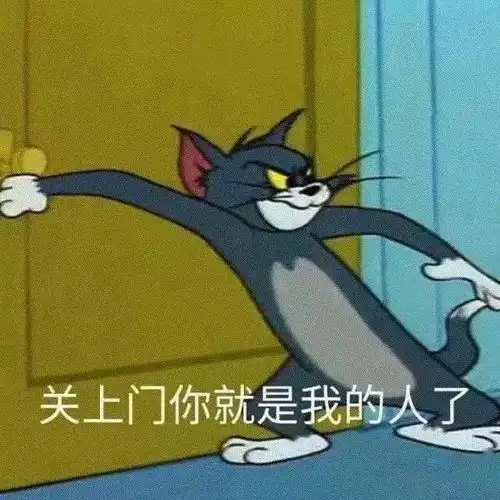 猫咪冲刺表情包猫和老鼠