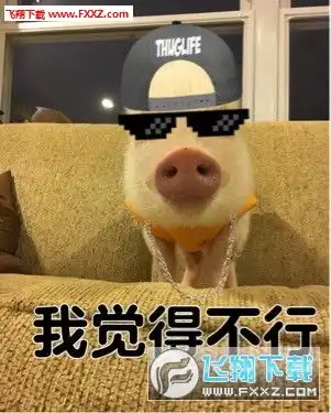  我觉得不行我觉得ok高清无水印表情包下载我觉得不行我觉得ok表情包下载飞翔下载