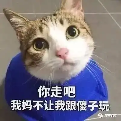  你的头像暴露了心理年龄小学初中高中大学你在哪一类