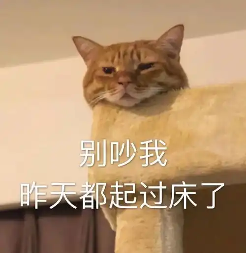  猫咪表情包如果我是一只咸鱼,那就让我快乐每一天