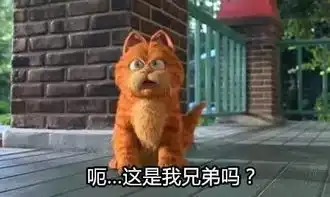  喵苏州又多了一只萌猫快来围观