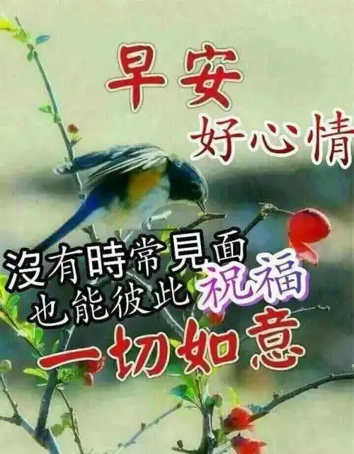  清晨早上好快乐问候暖心句子,漂亮早晨好表情图片送大家