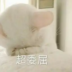  啊,银行柜台上的那些尬聊