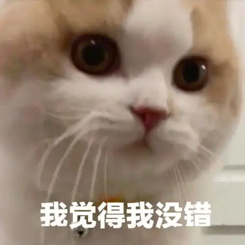  表情包今天也是棒棒的小猫