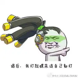  求守望先锋搞笑表情包图片