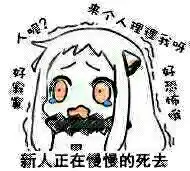  小北姬表情包大全