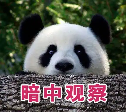  大熊猫表情包近日爆红网络,一张比一张有趣,网友亮点在最后