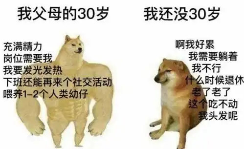 好狗狗上天堂为永生的cheems办一场葬礼