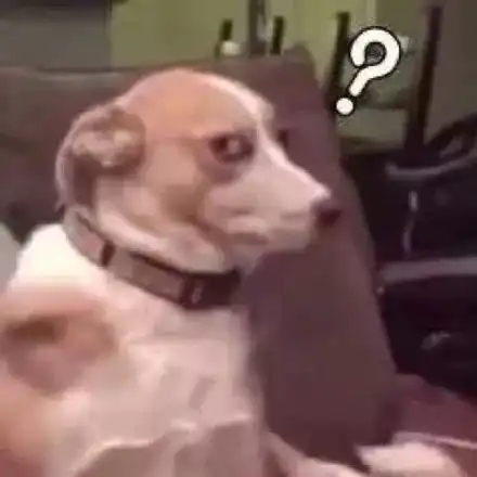 在家无聊,让男友给自己指定穿一件衣服之后...网友评论笑掉头 在家无聊,让男友给自己指定穿一件衣服之后...网友评论笑掉头