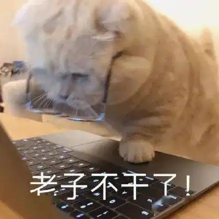  不想加班表情包