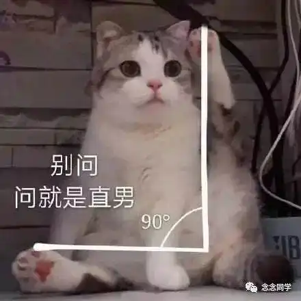 笨女孩表情包