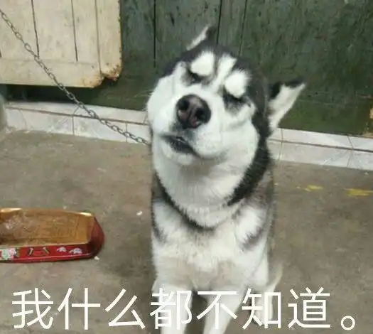  太刺激啦看到哥哥屁股上两颗大肉蛋,小法斗流着口水咬了上去