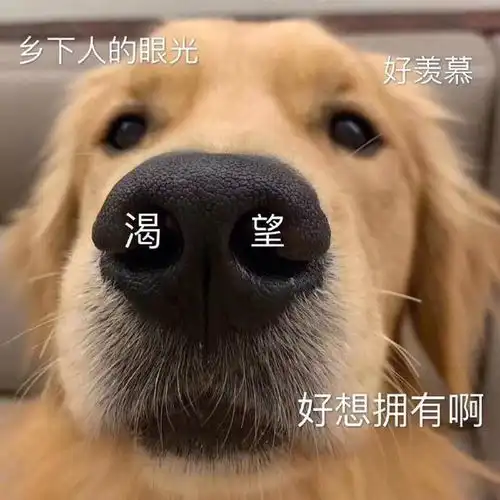  表情包对方向你发出洗澡邀请
