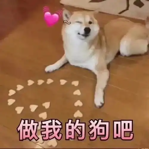 宝贝好棒表情包回复