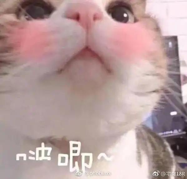  成分深扒篇居然还有人不知道蜂蜜可以护肤