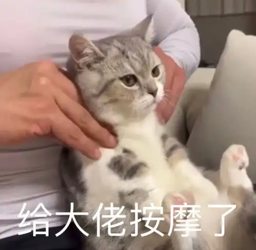  沙雕表情包l呜我裂开了