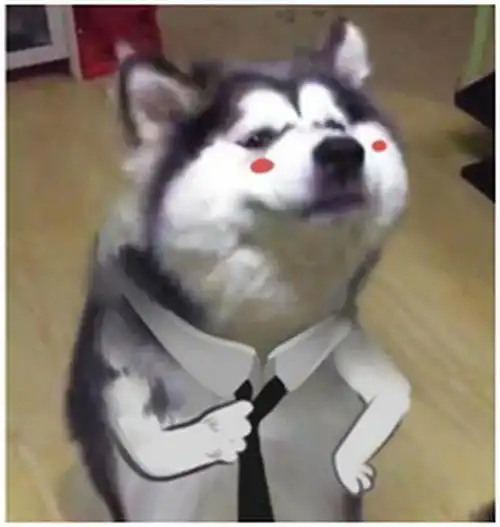  异地投保要注意什么