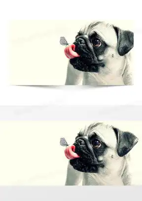 图片狗狗海报设计素材下载熊猫办公 图片狗狗海报设计素材下载熊猫办公