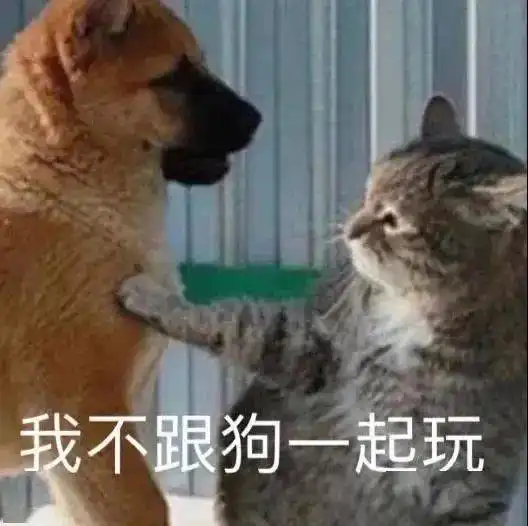 每日沙雕表情包