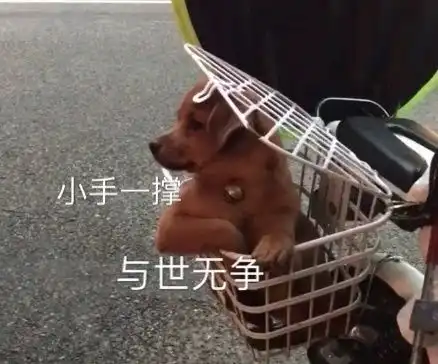  最新表情包图片那些喜欢打听八卦的人,我有办法怼你啦
