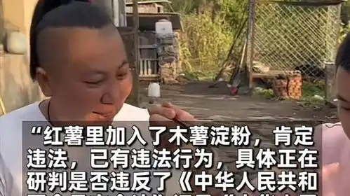 又一位小杨哥官方通报东北雨姐红薯粉调查结果,或面临牢狱之灾